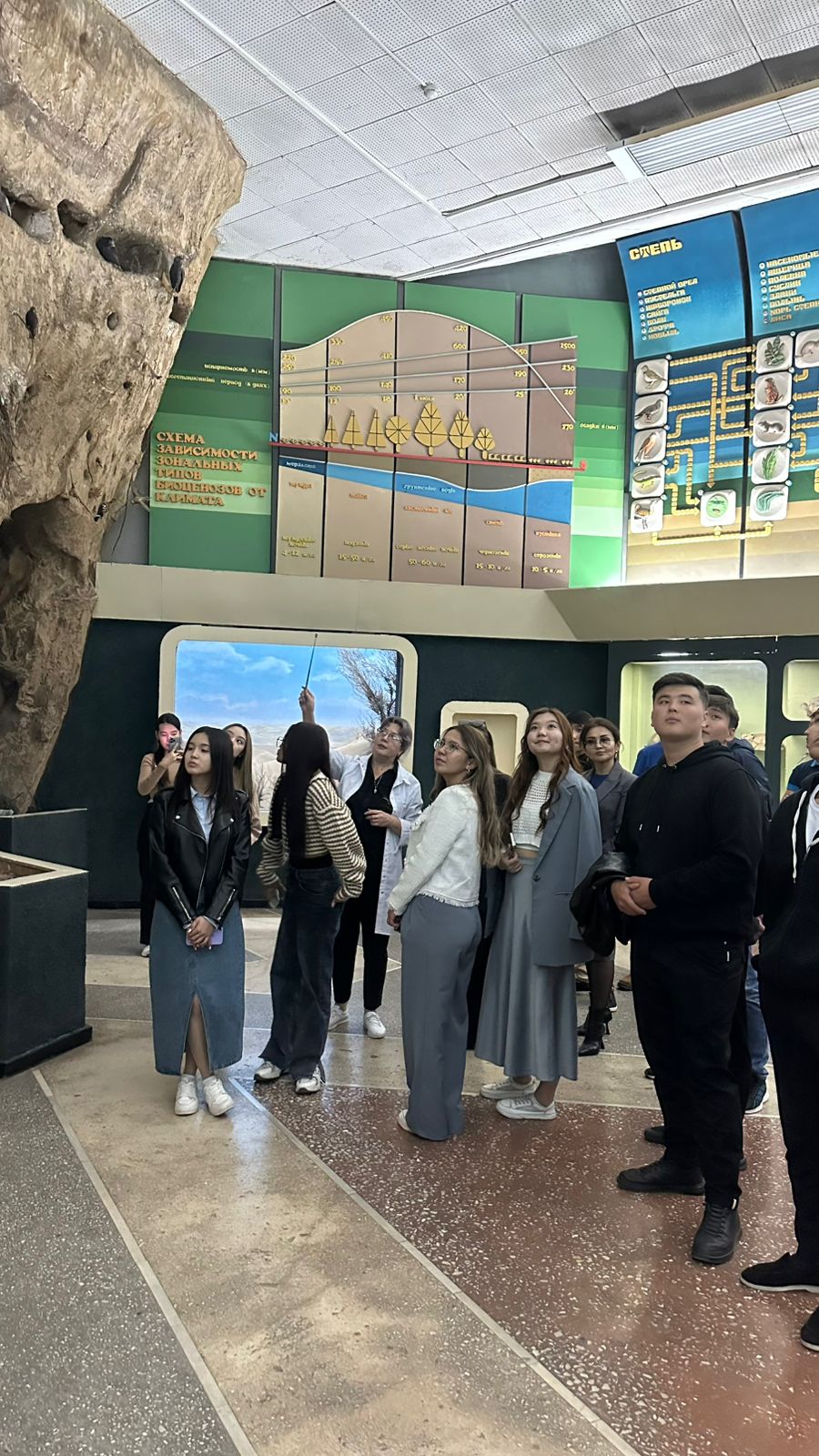 Study trip to the Zoological Museum